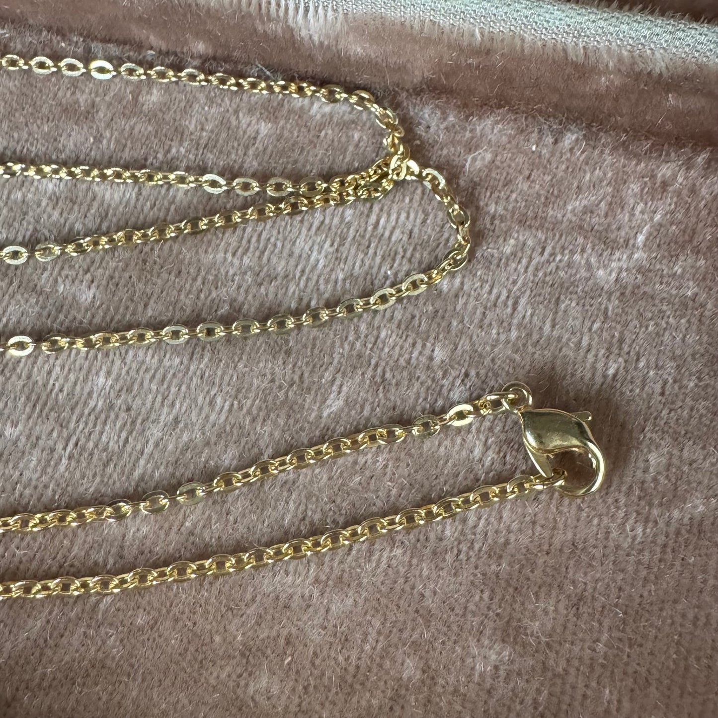 Victorian lucky lions paw amulet necklace in gold Brass